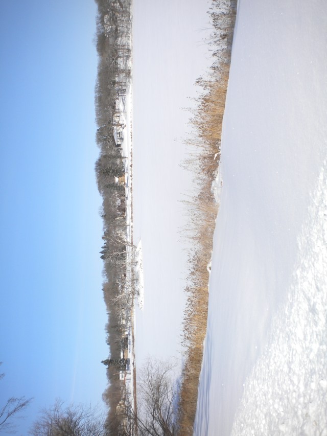 LAKE ALICE IN WINTER