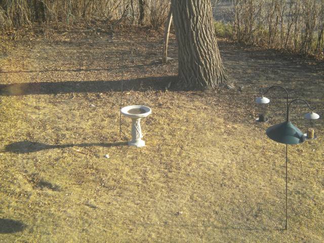 One week ago - all snow!