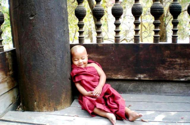 270901_376051579110930_1786736935_n